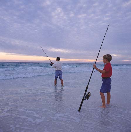 beachfish2