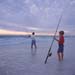 beachfish2